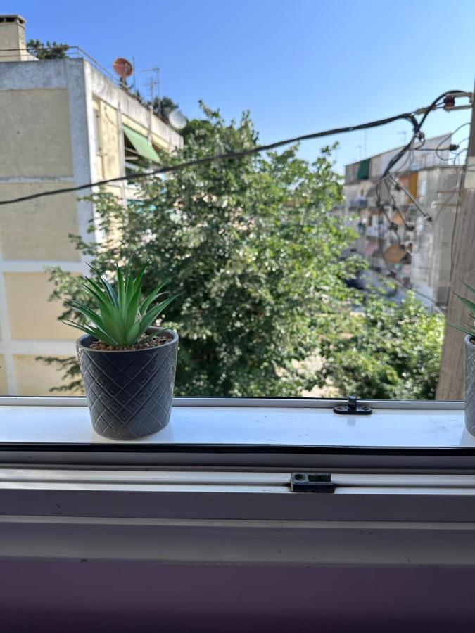 Corfu  Olia Apartment מראה חיצוני תמונה