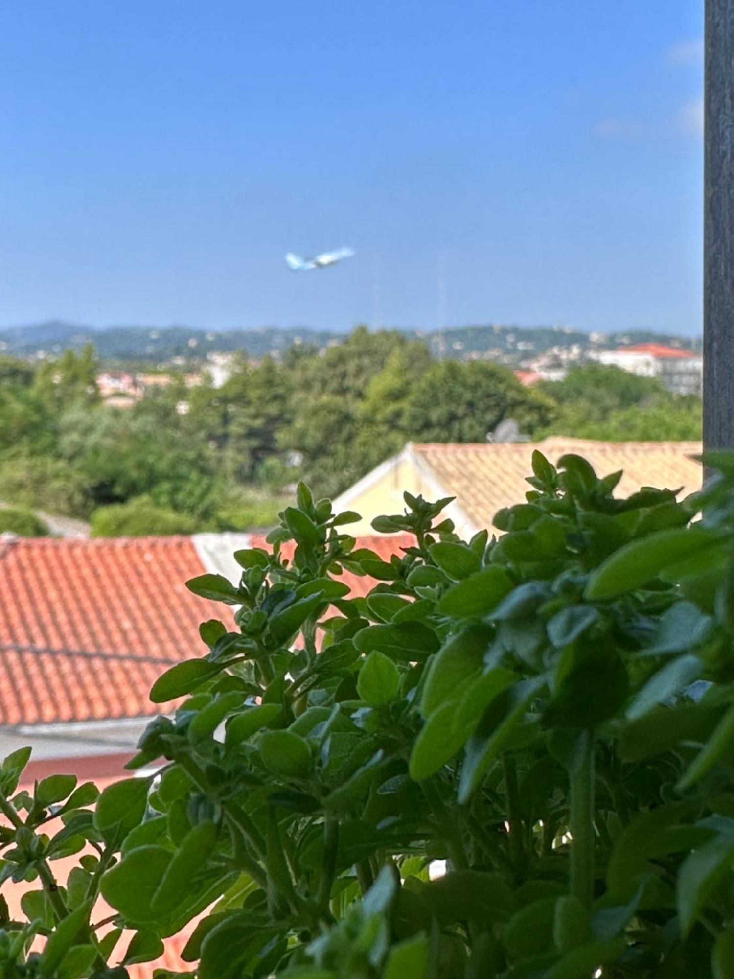 Corfu  Olia Apartment מראה חיצוני תמונה